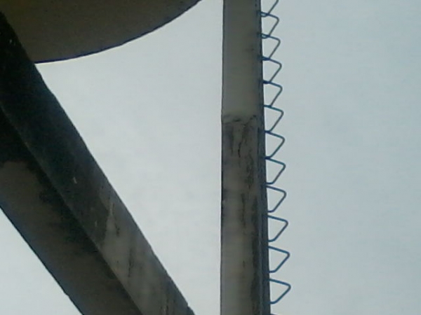 Moradores da Rua Floriano Peixoto se preocupam com estado de conservação da caixa dágua da Agespisa  - Imagem 6