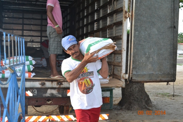 Prefeitura de Boa Hora distribuirá sementes a agricultores do município. - Imagem 9