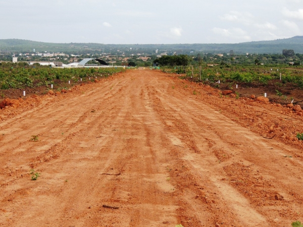 Loteamento Reserva dos Pinheiros continuam as vendas de lotes - Imagem 8