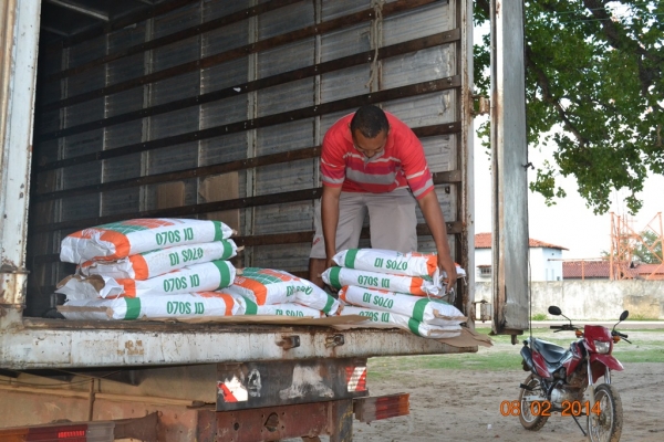 Prefeitura de Boa Hora distribuirá sementes a agricultores do município. - Imagem 12