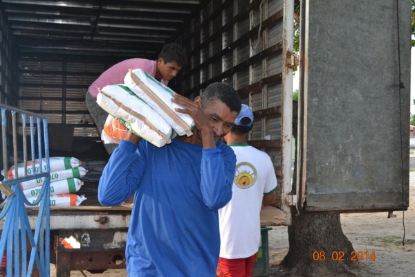 Prefeitura de Boa Hora distribuirá sementes a agricultores do município. - Imagem 10