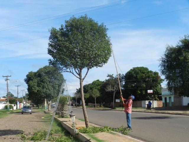 Prefeitura realiza serviço de poda nas arvores da Avenida Petrônio Portela  