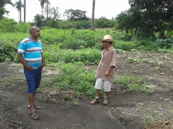 Kit de Irrigação trás benefícios para a população de Lagoinha  - Imagem 2