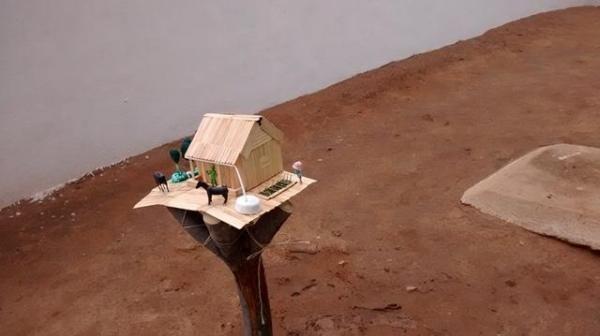 Escola Municipal Liberato Vieira Começa aplicar a Educação Contextualizada com o Semiárido  - Imagem 17