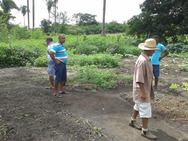 Kit de Irrigação trás benefícios para a população de Lagoinha  - Imagem 3