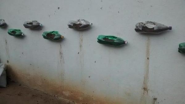 Escola Municipal Liberato Vieira Começa aplicar a Educação Contextualizada com o Semiárido  - Imagem 14