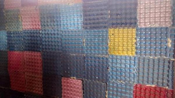 Escola Municipal Liberato Vieira Começa aplicar a Educação Contextualizada com o Semiárido  - Imagem 25