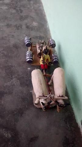 Escola Municipal Liberato Vieira Começa aplicar a Educação Contextualizada com o Semiárido  - Imagem 27