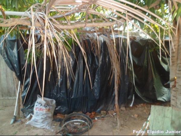 Colônia do Piauí: Casal vive em condições precárias morando em casa de papelão - Imagem 2