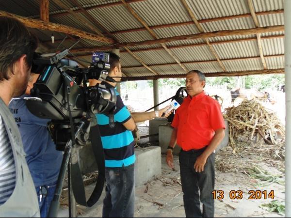 TV Antares faz reportagem e engenho de rapadura em Boa Hora - Imagem 6