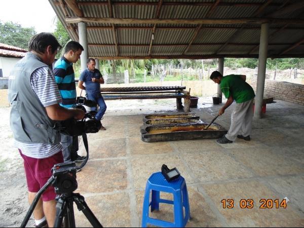 TV Antares faz reportagem e engenho de rapadura em Boa Hora - Imagem 14