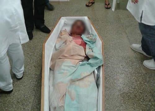 Animais soltos III; perigo de acidentes 