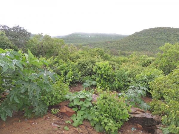 Programa Inclusão e Desenvolvimento chega ao povoado Lapa - Imagem 116