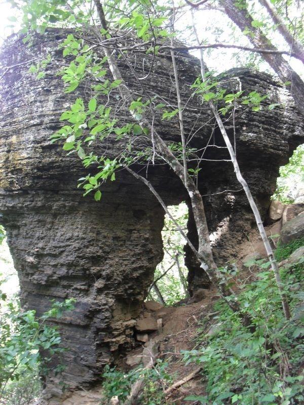 Prefeito Reginaldo constrói estrada de acesso a cachoeira de Santo Antônio - Imagem 17