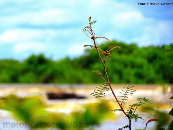 Domingo é dia de Rio Longá! - Imagem 14