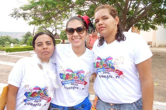 CRAS REALISA FOLIA 2014 EM CURRAIS - Imagem 38