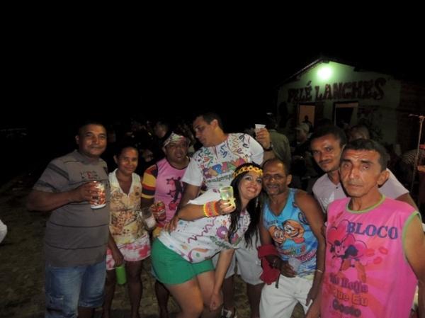 Confira os melhores cliques do 1ª dia de carnaval 2014 em Curralinhos  - Imagem 48