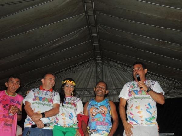 Confira os melhores cliques do 1ª dia de carnaval 2014 em Curralinhos  - Imagem 15