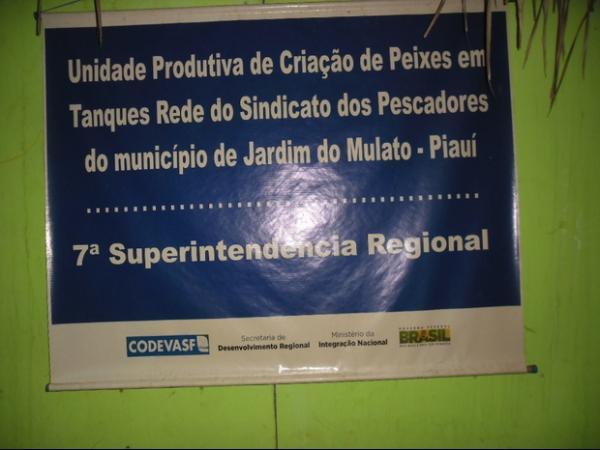 Associação de pescadores de jardim do Mulato realizam I despesca da criação em Tanques Rede