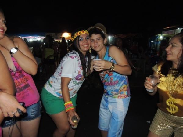 Confira os melhores cliques do 1ª dia de carnaval 2014 em Curralinhos  - Imagem 58
