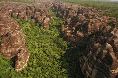 “Conhecendo a Biodiversidade do Semiárido Brasileiro” do Programa de Pesquisa em Biodiversidade do Semiárido (PPBio) - Imagem 2