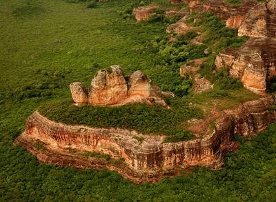“Conhecendo a Biodiversidade do Semiárido Brasileiro” do Programa de Pesquisa em Biodiversidade do Semiárido (PPBio) - Imagem 1