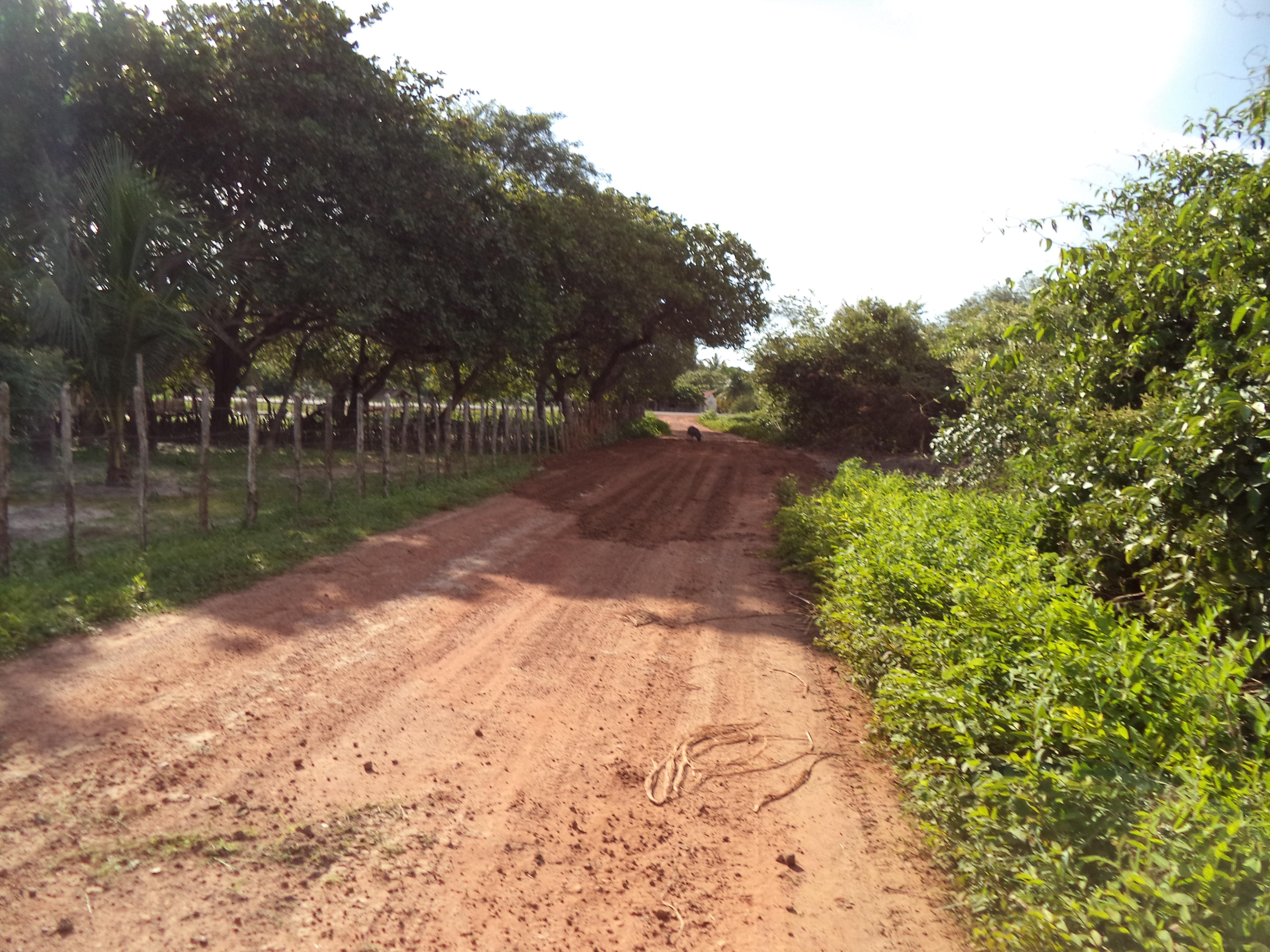 Prefeitura recupera estrada da comunidade Lagoa Alegre.