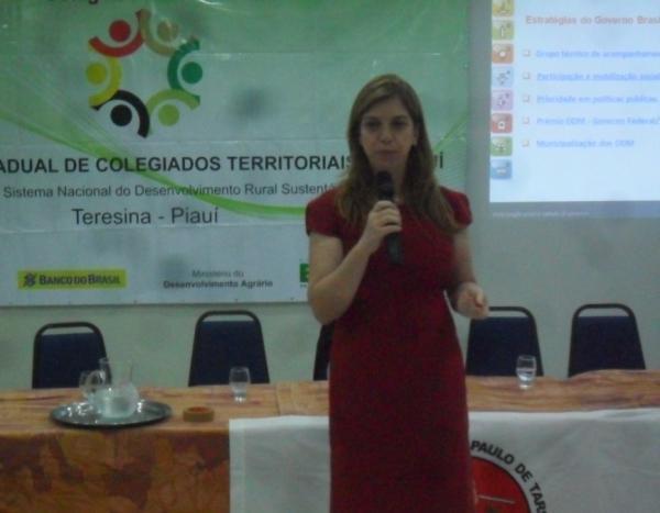 Rede de Colegiados Territoriais se reúnem em Teresina - Imagem 2