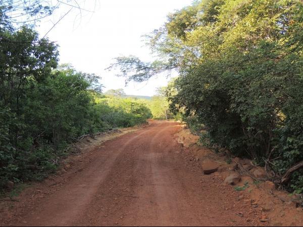 Prefeitura de Pedro II realiza melhoria em estradas - Imagem 3