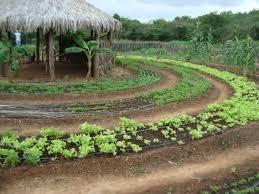 Conselheiros Territoriais do Vale do Canindé se reuniram em Oeiras e Santa Rosa - Imagem 6