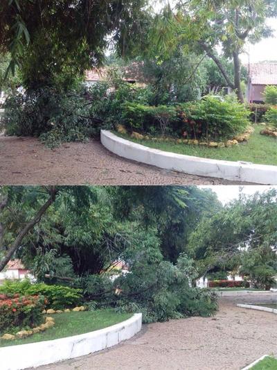 Temporal atinge Francinópolis - Imagem 3