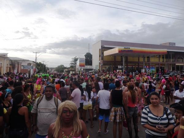 Bloco Os Gatões superou a marca do ano passado em desfile - Imagem 1