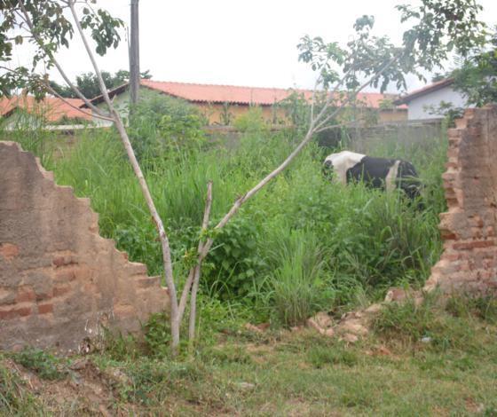 Parte de muro de escola e garagem municipal estão no chão há mais de 4 meses - Imagem 7