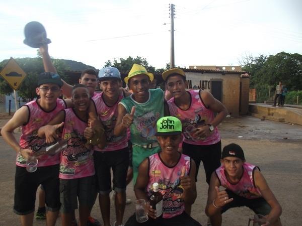 Confira as imagens do Carnaval 2014 de Santa Rosa do Piauí - Imagem 2