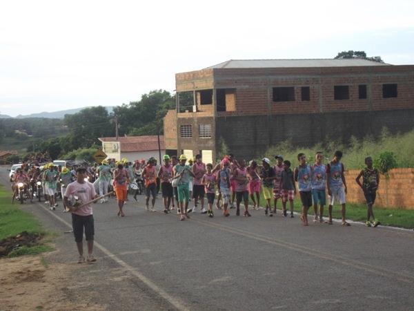 Confira as imagens do Carnaval 2014 de Santa Rosa do Piauí - Imagem 5