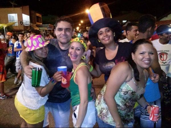 Bloco dos Sujos 2014 - Imagem 4