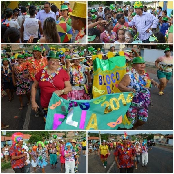 SAS Folia abriu oficialmente o carnaval de Buriti dos Lopes 2014 - Imagem 1