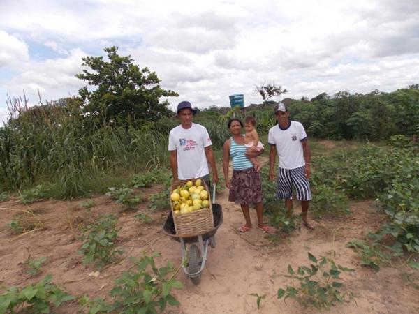 Maracujá garante renda aos produtores do Assentamento Malhada Grande - Imagem 8