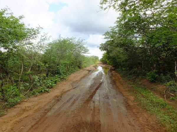 Prefeitura de Dom Expedito Lopes recupera 4 Km de estrada vicinal  - Imagem 20