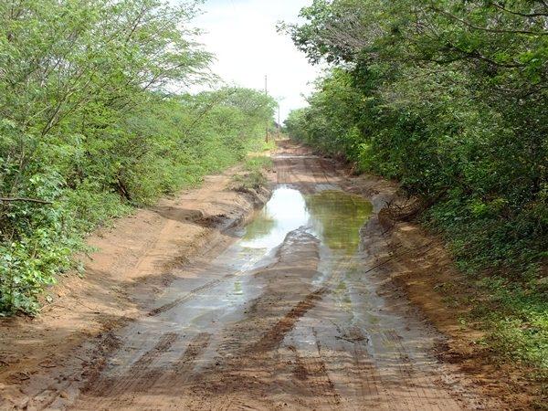Prefeitura de Dom Expedito Lopes recupera 4 Km de estrada vicinal  - Imagem 21