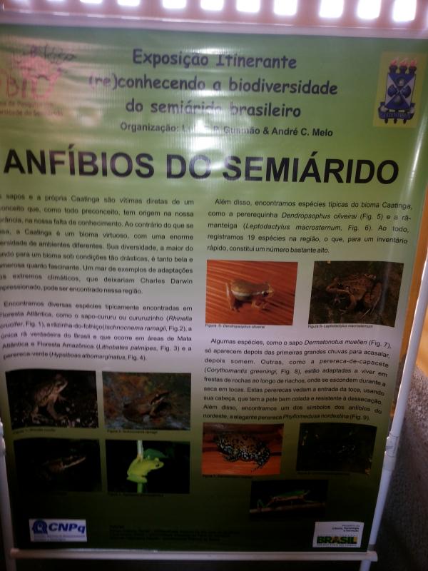 Seminário (re)conhecendo a biodiversidade do semiárido brasileiro - Imagem 22