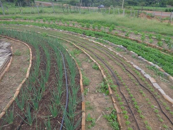 Dedé Marinho apoia projeto de Produção Agroecológica Integrada e Sustentável - Imagem 4