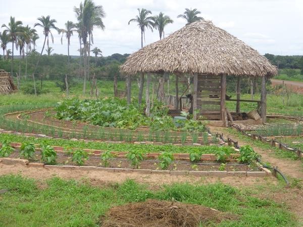 Dedé Marinho apoia projeto de Produção Agroecológica Integrada e Sustentável - Imagem 23