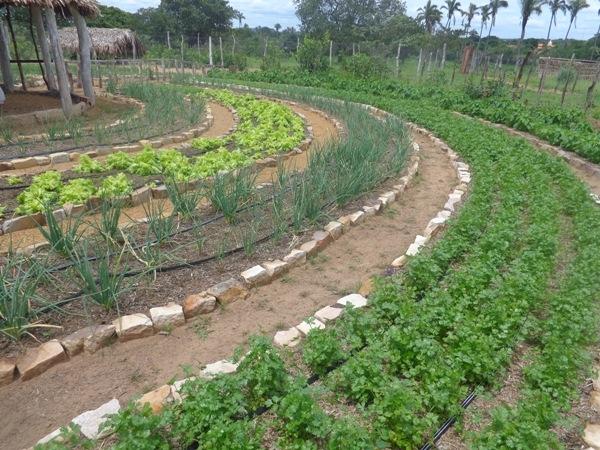 Dedé Marinho apoia projeto de Produção Agroecológica Integrada e Sustentável - Imagem 18