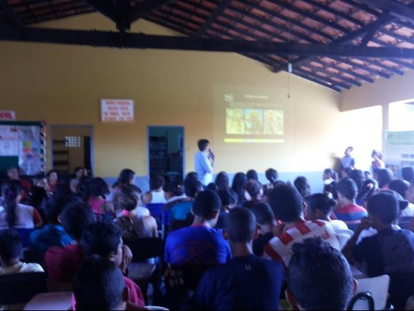 Seminário (re)conhecendo a biodiversidade do semiárido brasileiro - Imagem 10