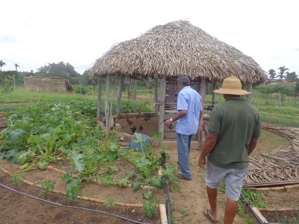 Dedé Marinho apoia projeto de Produção Agroecológica Integrada e Sustentável - Imagem 8