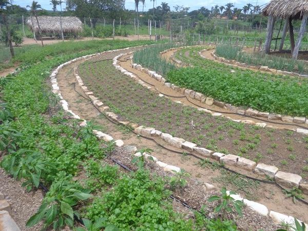 Dedé Marinho apoia projeto de Produção Agroecológica Integrada e Sustentável - Imagem 10