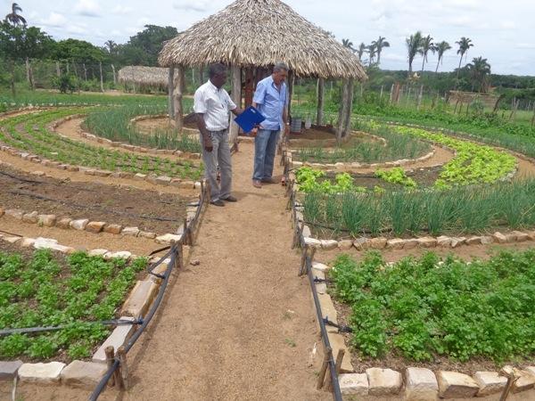Dedé Marinho apoia projeto de Produção Agroecológica Integrada e Sustentável - Imagem 20