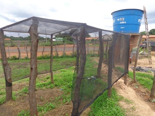 Dedé Marinho apoia projeto de Produção Agroecológica Integrada e Sustentável - Imagem 2