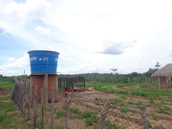 Dedé Marinho apoia projeto de Produção Agroecológica Integrada e Sustentável - Imagem 9
